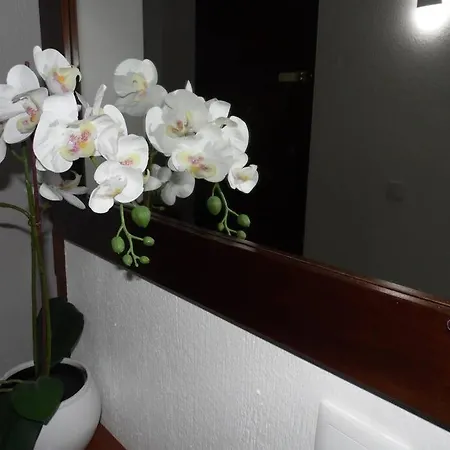 Happy House-fantastic With Amenities Appartement *